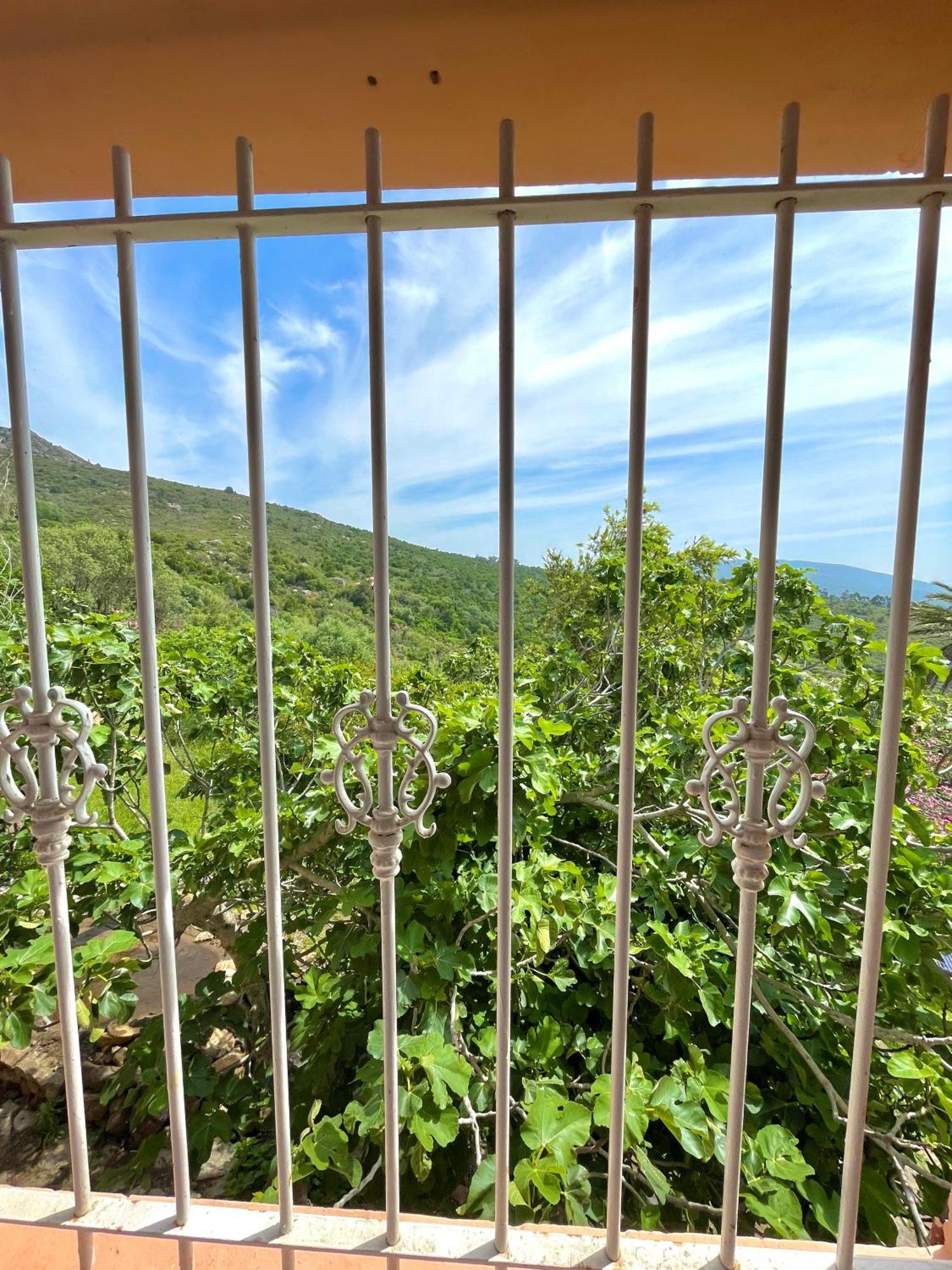 Dar Bakkali Nadi Otel Tanca Dış mekan fotoğraf